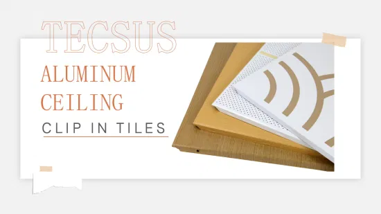 Soffitto in alluminio insonorizzato a prezzo di fabbrica per la decorazione dell'ufficio con CE (TECSUS